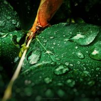 My magic Petersburg_04225 :: Станислав Лебединский My magic Petersburg_04225 :: Станислав Лебединский