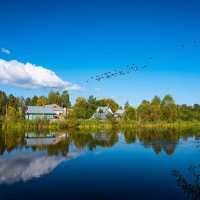 На озере. :: Валерий 