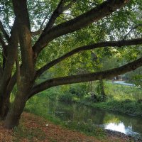 ***** :: юрий поляков