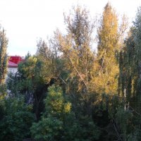 НАЧАЛО ОСЕНИ :: СЕРГЕЙ ФИЛОЧКИН