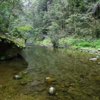 Река Цзиньбинь в Национальном парке Чжанцзяцзе (Горы Аватара). :: unix (Илья Утропов)