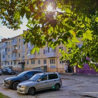 Лето прошло :: Дмитрий Костоусов