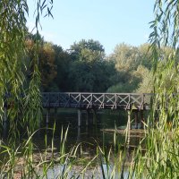 Бабье лето :: Дмитрий И_