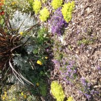 Уставшее Лето... :: Валерий Кокорев