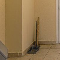 Кто из них главный? :: Валерий Иванович Кто из них главный? :: Валерий Иванович