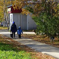 Из серии "Люди и псы"! :: Владимир 