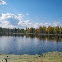 - :: Владимир Мигонькин