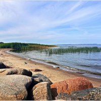 Калининградский залив. :: Валерия Комова