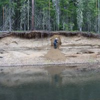 Рабочие моменты... :: Галина Ильясова