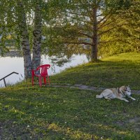 Хозяйка огорода))) :: Борис Устюжанин