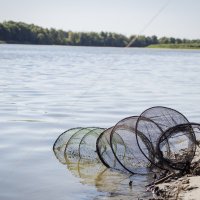 Рыбалка на Дону :: Тамара Федорова