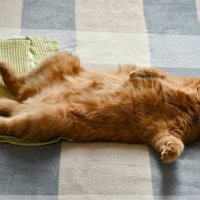 * :: Вадим * :: Вадим