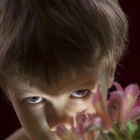 ... :: ВЛАДИМИР 