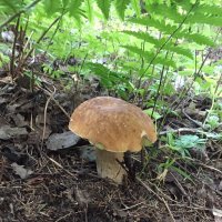 Он ждёт тебя :: Ольга Лебедева (Беловласова)