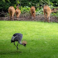Тут интереснее... :: Николай Гирш Тут интереснее... :: Николай Гирш