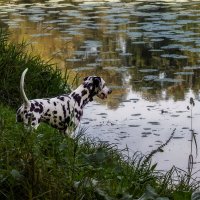 что-то интересное... :: Michel 