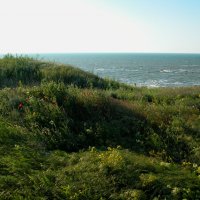 Таманская весна :: Наталья Лунева 