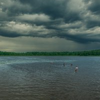 Перед дождём :: Александр Филатов