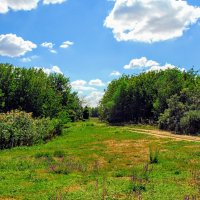 Сентябрьский полдень. :: Владимир 