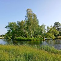 Летним днём. :: Лия ☼