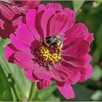 Бабье лето :: Aquarius - Сергей