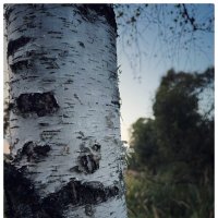 *** :: someone somewere