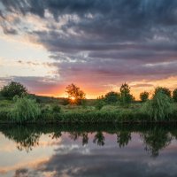 Летний вечер :: Ирина 