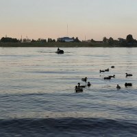 Нева :: Наталья Герасимова