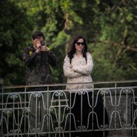 Наблюдать или снимать? :: Магомед .