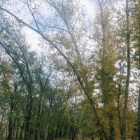 Тишина :: Андрей Хлопонин