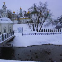 Утки на реке Кончура на фоне Троице-Сергиевой Лавры :: Марина Валиуллина