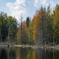 - :: Владимир Мигонькин