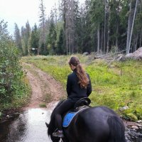 У лесной речушки. :: Ольга У лесной речушки. :: Ольга