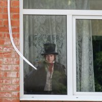 В окне квартиры :: Игорь Сикорский