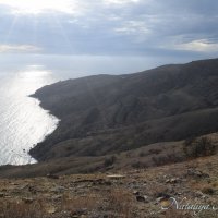 Природа Крыма :: Amazing Cosmea