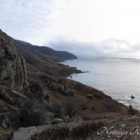 Природа Крыма :: Amazing Cosmea