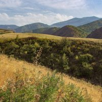 Осень кисточки достала... :: LudMila 