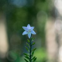 ___ :: Yuriy V ___ :: Yuriy V