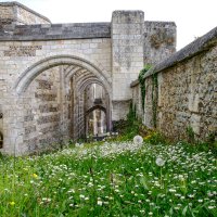 Монастырь Святой Троицы XI век (2) :: Георгий А Монастырь Святой Троицы XI век (2) :: Георгий А