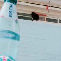 13  ОПЕН (373) :: OPEN WAYS ALL