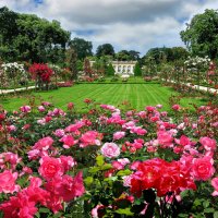 Сад Багатель. Париж. :: Николай Рубцов