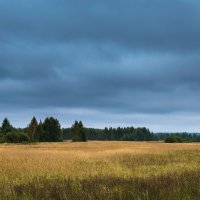 *** :: Андрей Андрианов *** :: Андрей Андрианов