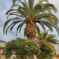 В Новом Афоне :: Ирэн 