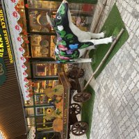 Казань :: Андрей 