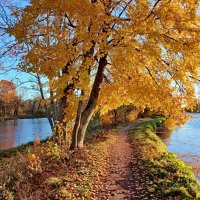 Октябрь уж близится... :: Лия ☼ Октябрь уж близится... :: Лия ☼