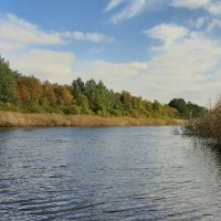 Новоладожский канал. Сентябрь :: Наталья Герасимова Новоладожский канал. Сентябрь :: Наталья Герасимова