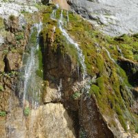 Пшехский водопад :: Tata Wolf