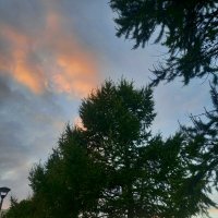 Закат :: Сапсан 