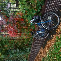 Есть 2500 км в сезоне! :: Андрей Лукьянов