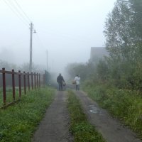 Утречком за грибами :: Валерий Иванович Утречком за грибами :: Валерий Иванович